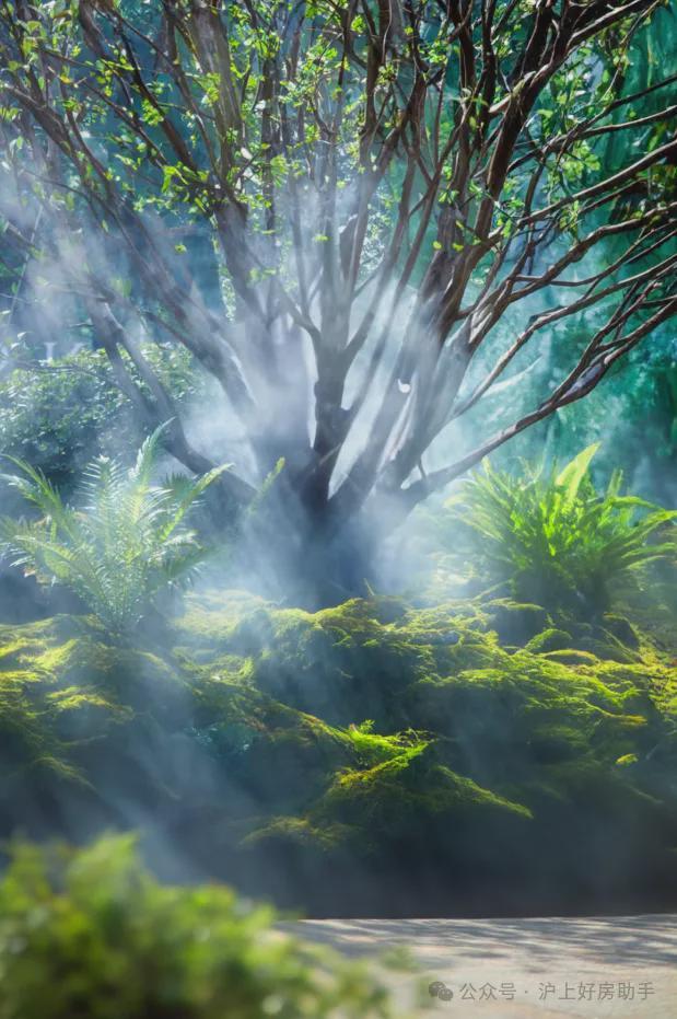 处发布：玖上琅宸以品质铸就传奇！J9九游会聚焦中建玖上琅宸售楼(图7)